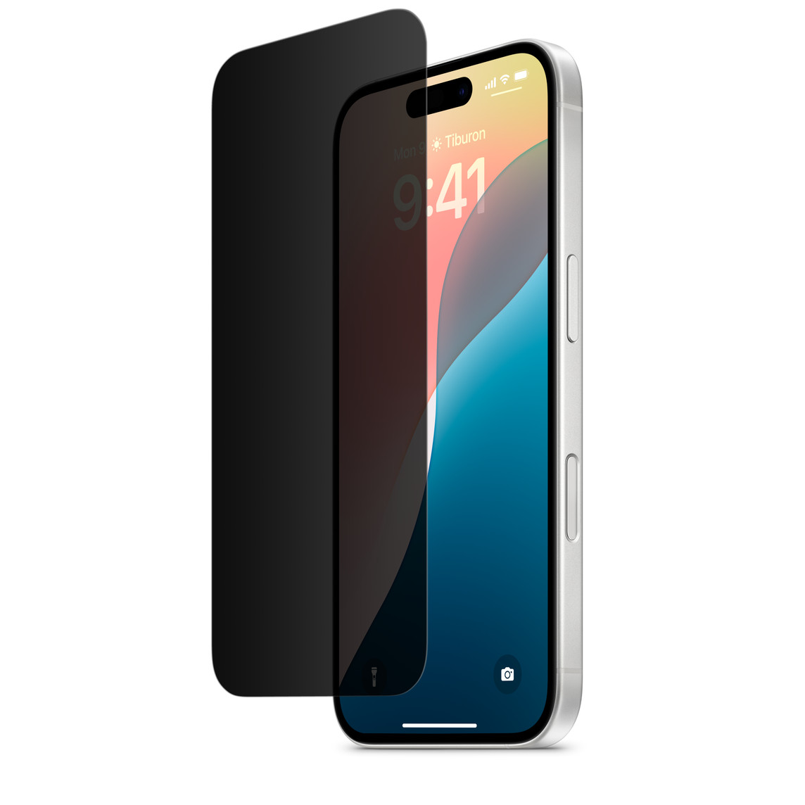 Privacy screen protector